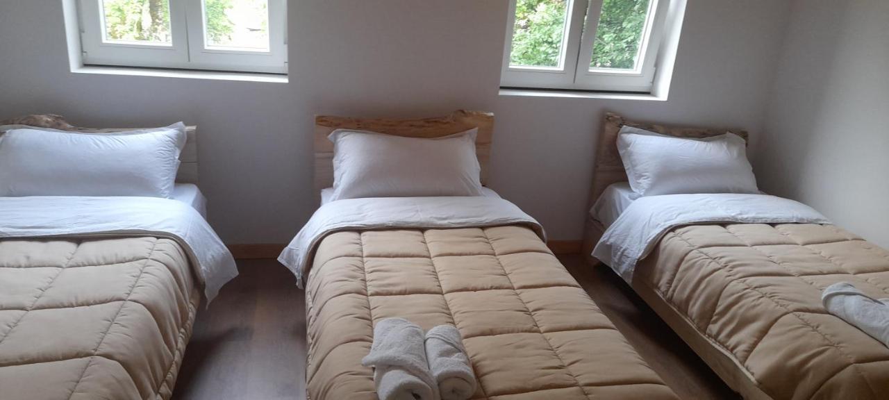 טת Guesthouse Dritan Tethorja חדר תמונה