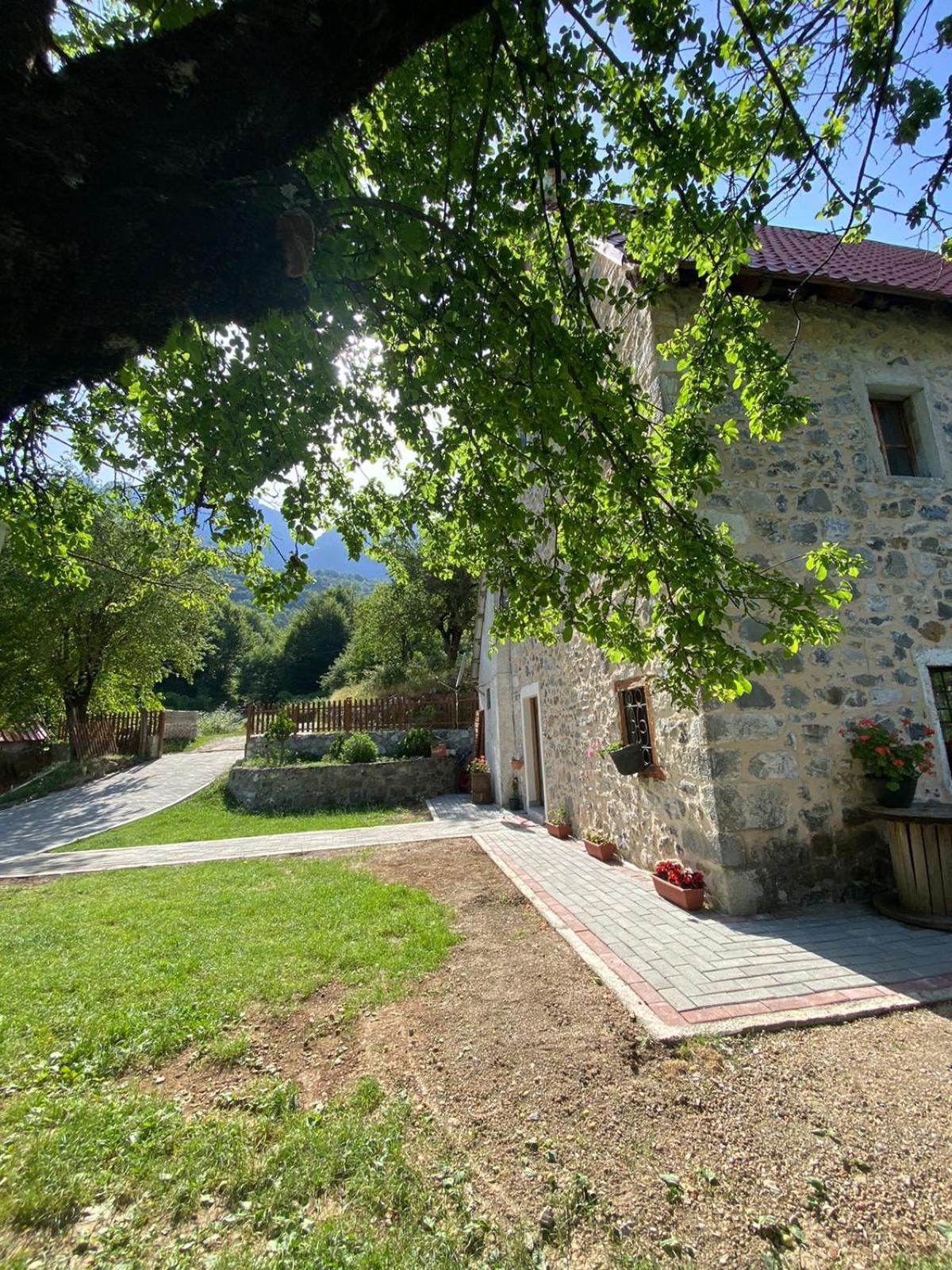 טת Guesthouse Dritan Tethorja מראה חיצוני תמונה