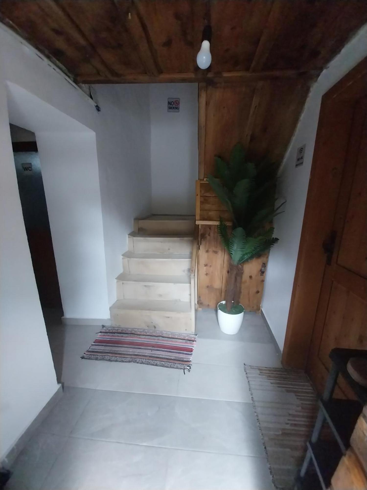 טת Guesthouse Dritan Tethorja מראה חיצוני תמונה