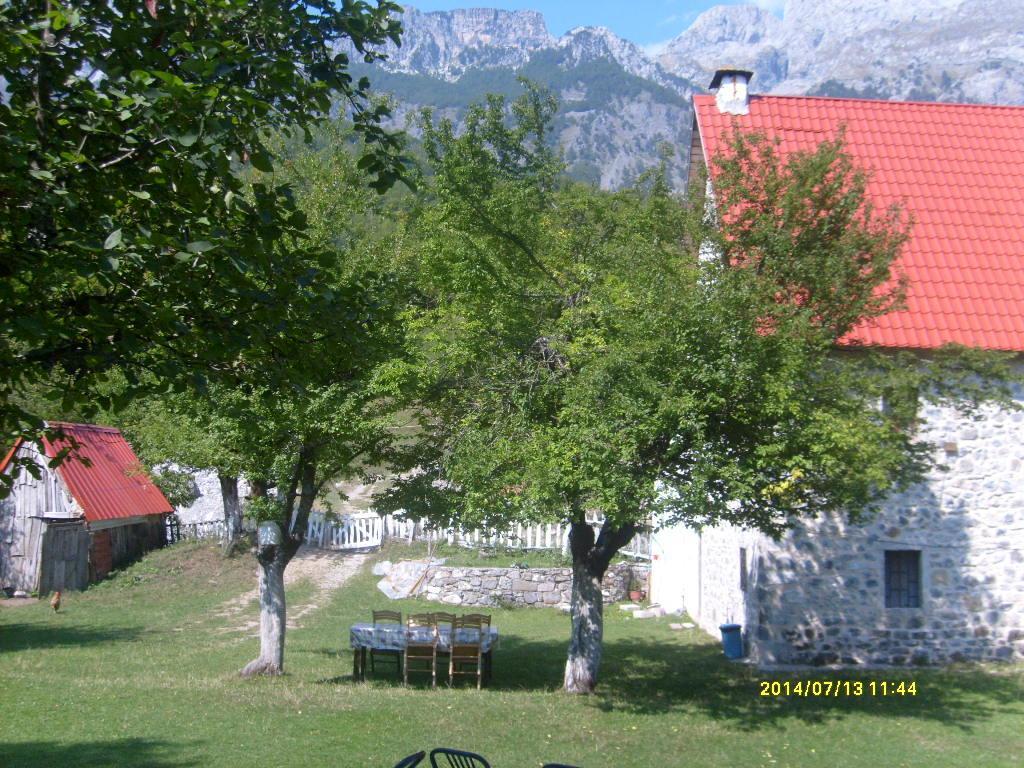 טת Guesthouse Dritan Tethorja מראה חיצוני תמונה