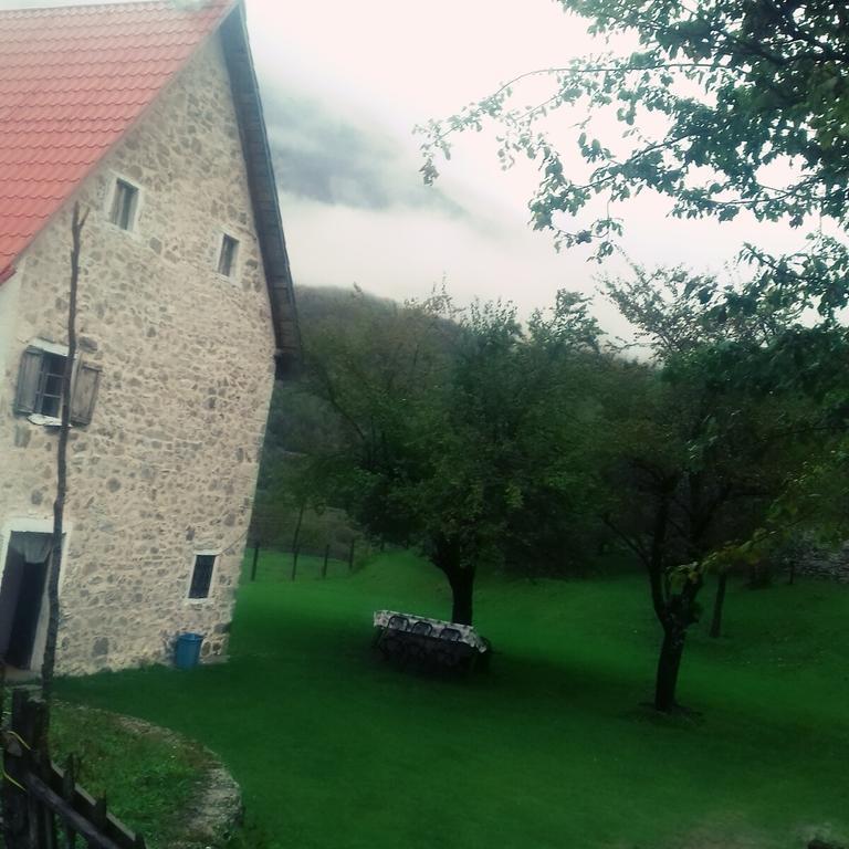 טת Guesthouse Dritan Tethorja מראה חיצוני תמונה