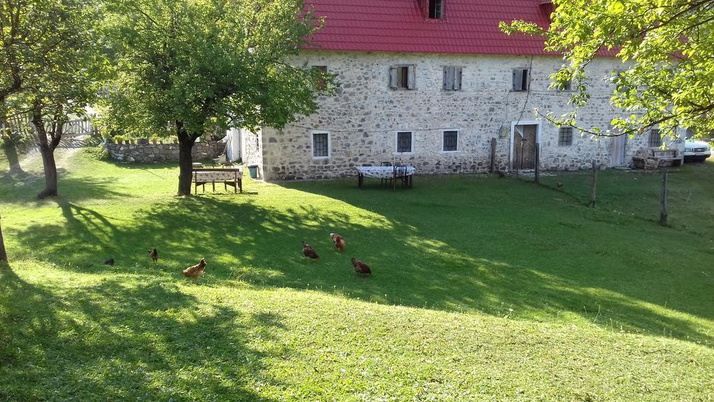 טת Guesthouse Dritan Tethorja מראה חיצוני תמונה