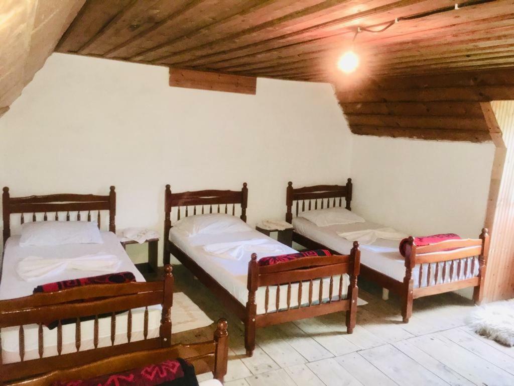 טת Guesthouse Dritan Tethorja מראה חיצוני תמונה