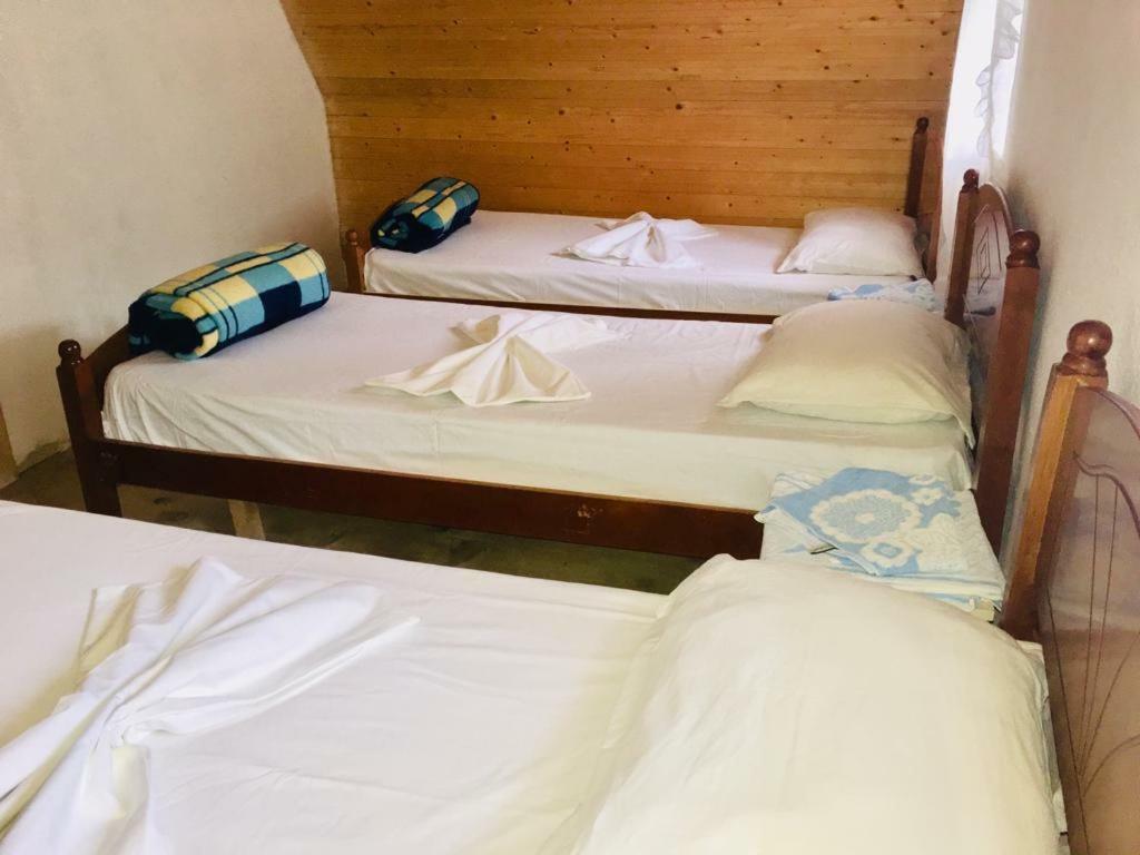 טת Guesthouse Dritan Tethorja מראה חיצוני תמונה